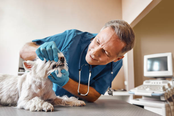 Best Emergency Tooth Extraction in Sunbury, OH